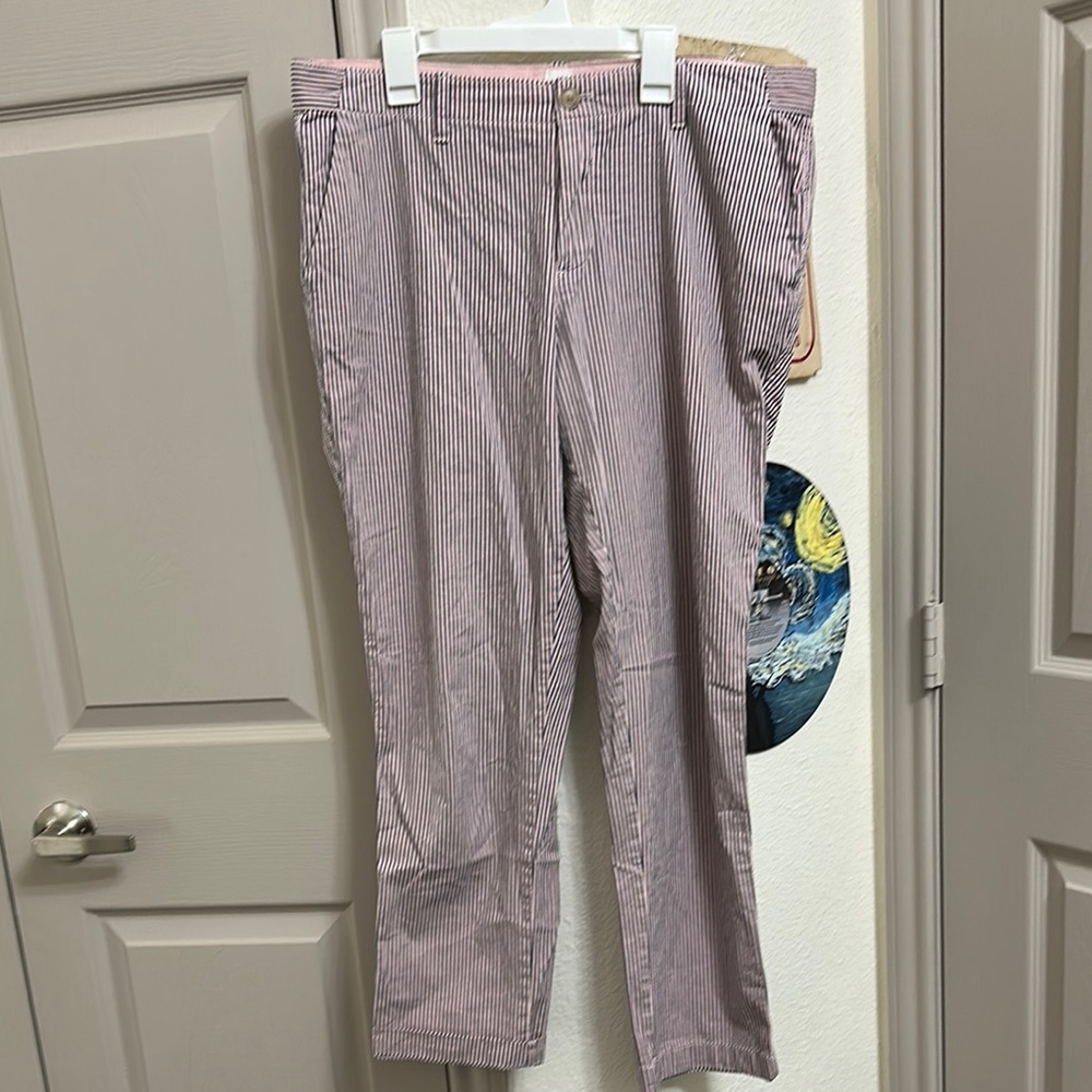 Womens Striped Chino Gap Pants - Pink and Navy